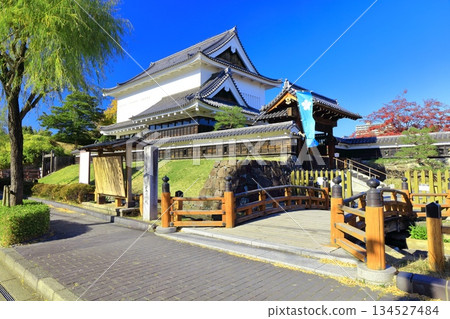 【京都府】晴天的青龍寺城公園 134527484