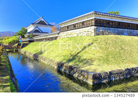 【京都府】晴天的青龍寺城公園 134527489