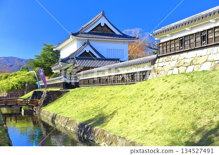 [Kyoto Prefecture] Shoryuji Castle Park on a clear day 134527491