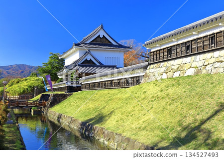 [Kyoto Prefecture] Shoryuji Castle Park on a clear day 134527493