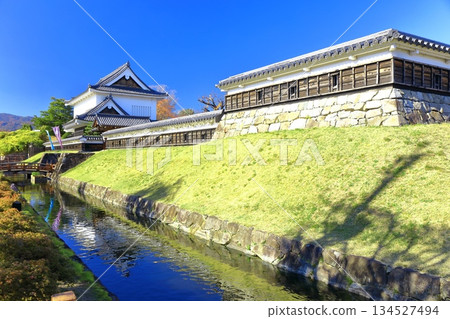 [Kyoto Prefecture] Shoryuji Castle Park on a clear day 134527494