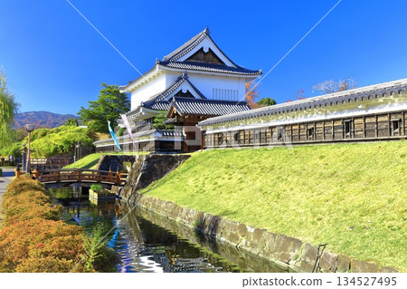 [Kyoto Prefecture] Shoryuji Castle Park on a clear day 134527495