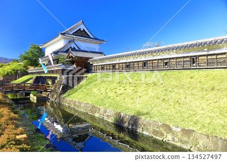 [Kyoto Prefecture] Shoryuji Castle Park on a clear day 134527497