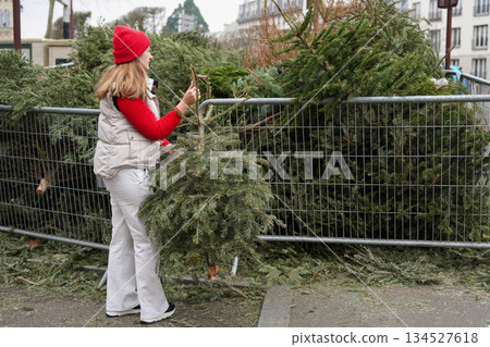 A woman is throwing away Christmas trees behind the fence 134527618
