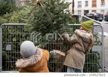 A brother and sister throw away Christmas trees behind the fence A brother and sister throw away Christmas trees behind the fence 134527622