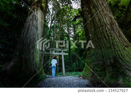 A shrine gate and a woman sandwiched between giant trees 134527927