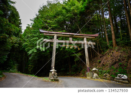 An old torii gate in the deep forest 134527930