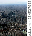 Tokyo skyscrapers seen from an airplane 134527942
