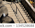神社的樓梯 134528688