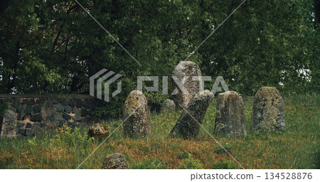 Old ancient Jewish cemetery in summer spring day. green grass an 134528876