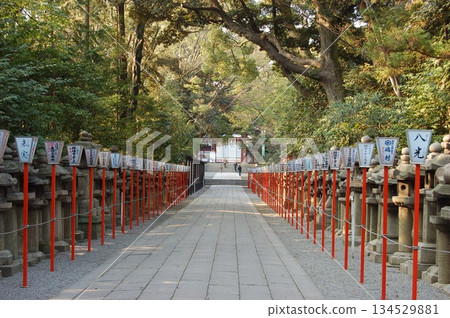 前往岩清水八幡宮的路上│石燈籠和陽光透過綠植灑下│京都觀光 134529881