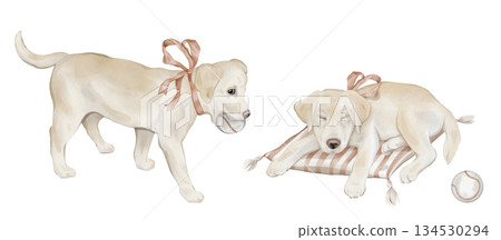 Watercolor character beige yellow retriever puppy dog sleeping on a striped pillow on isolated. Hand drawn illustration sketch Labrador runs with a ball in his teeth and a red bow around his neck. 134530294