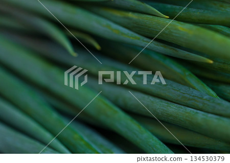 台灣在地新鮮翠綠青蔥與辛香料的特寫藝術 134530379