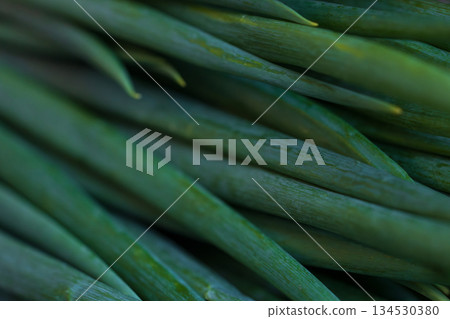 Close-up art of fresh, vibrant green onions and spices from Taiwan Close-up art of fresh, vibrant green onions and spices from Taiwan 134530380