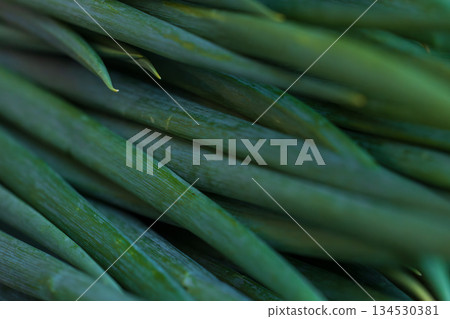 Close-up art of fresh, vibrant green onions and spices from Taiwan Close-up art of fresh, vibrant green onions and spices from Taiwan 134530381