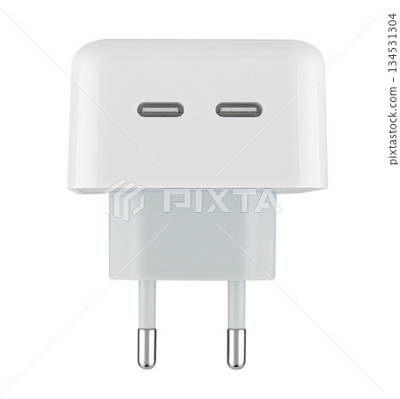 power adapter for the phone, on a white background in insulation power adapter for the phone, on a white background in insulation 134531304
