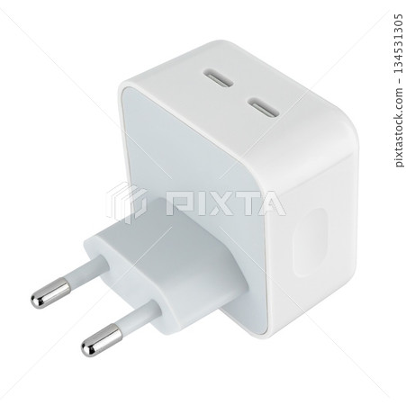 power adapter for the phone, on a white background in insulation power adapter for the phone, on a white background in insulation 134531305