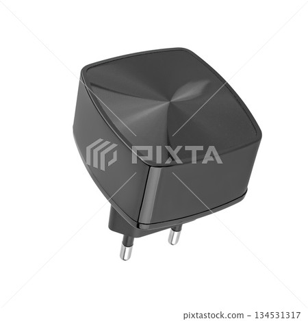power adapter for phone, on white background in insulation 134531317