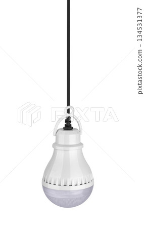 LED light bulb, on white background in insulation 134531377