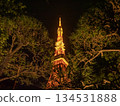 [Tokyo] Tokyo Tower seen beyond the pine trees 134531888