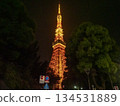 [Tokyo] Tokyo Tower 134531889