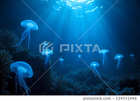 Under water jelly fish blue light scene Under water jelly fish blue light scene 134531948