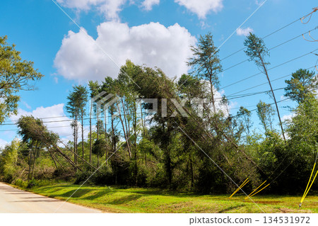Strong winds caused trees to lean over power lines in rural setting, showing storm damage Strong winds caused trees to lean over power lines in rural setting, showing storm damage 134531972