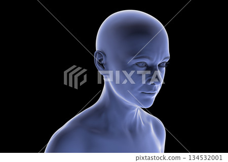 Middle-aged woman looking away from the camera, 3D illustration 134532001