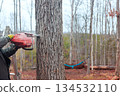 Worker operates chainsaw on ladder to cut down tree forest setting is cloudy 134532110