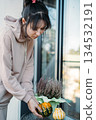 Woman arranges decorative pumpkins on balcony table near heather plant. Home gardening trends, interior styling, cozy fall vibes, seasonal aesthetics. 134532191