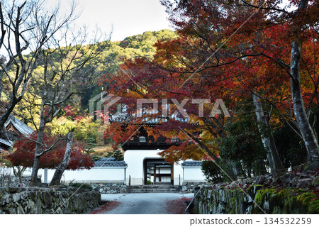 秋日的幸聖寺琴坂:山門與楓樹(京都府宇治市) 秋日的幸聖寺琴坂:山門與楓樹(京都府宇治市) 134532259