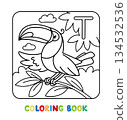 Funny toucan. Animals coloring book for kids 134532536