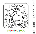 Funny urial. Animals coloring book for kids 134532540