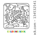 Funny x-ray fish . Animals coloring book for kids 134532541