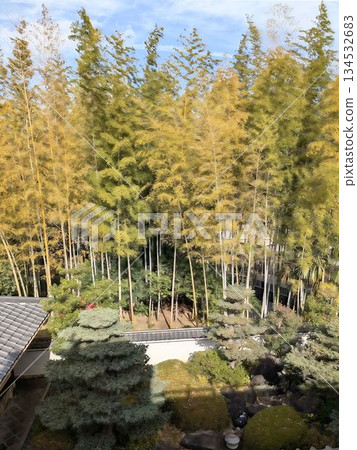 Jozan-en Garden, garden scenery 134532683