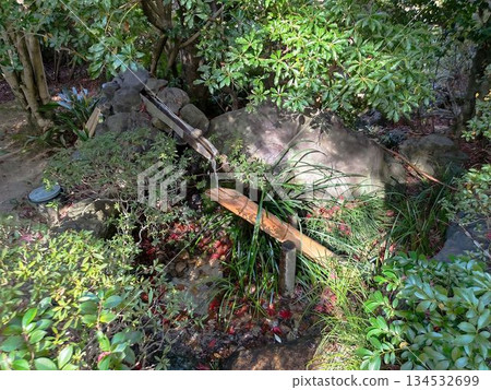 約札寧，鹿驚魂 134532699