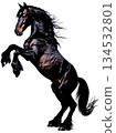 The Black Horse 134532801