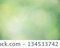 Natural green defocus light background. Blurred defocus greenery. 134533742