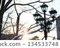 被雪覆蓋的路燈 134533748