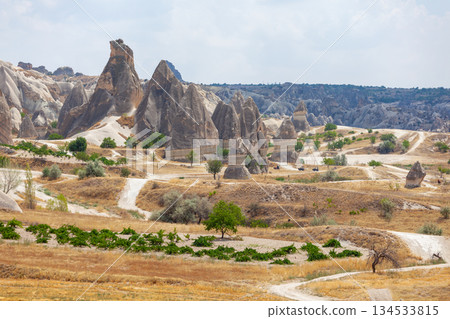 Volcanic rock formations landscape in Cappadocia, place of residence of ancient Christians 134533815