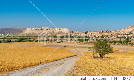 Volcanic rock formations landscape in Cappadocia, place of residence of ancient Christians 134533827