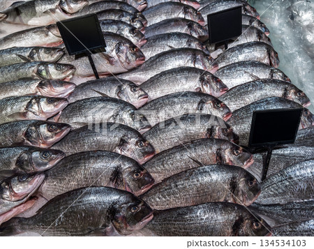 A detailed view of fresh chilled seafood symmetrically arranged in rows at a supermarket counter with empty tags for pricing A detailed view of fresh chilled seafood symmetrically arranged in rows at a supermarket counter with empty tags for pricing 134534103