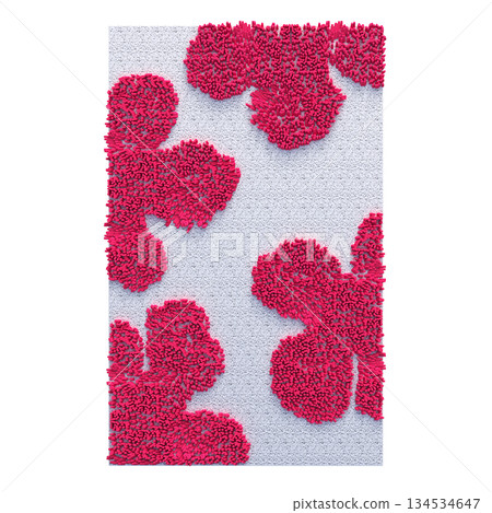 carpet for interior isolated on transparent background, home decor, 3D illustration, cg render 134534647