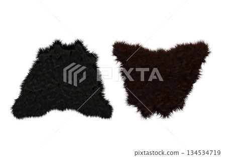 carpet for interior isolated on transparent background, home decor, 3D illustration, cg render carpet for interior isolated on transparent background, home decor, 3D illustration, cg render 134534719