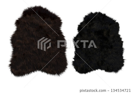carpet for interior isolated on transparent background, home decor, 3D illustration, cg render 134534721