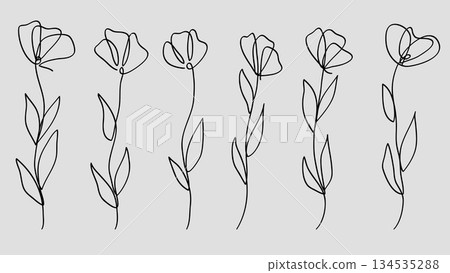 One Continuous Line Art Flowers Collection Hand Drawn Blossom. 134535288