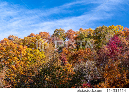 Autumn landscape in Japan 134535534