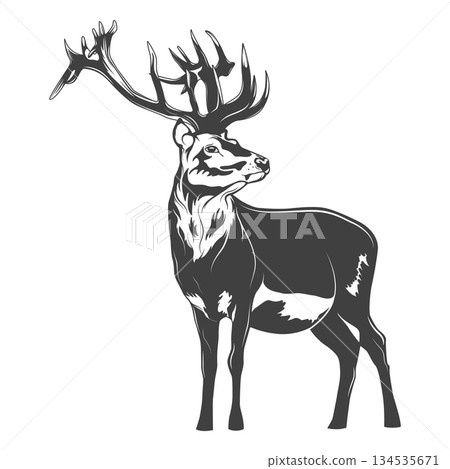 Deer Illustration. Majestic Deer Vector Silhouette. Wild Deer with Antlers. Forest Deer Icon. Wildlife Deer Clipart, Hunting Deer Emblem, Nature Deer 134535671
