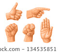 Male hand sign. Fist, Like, handshake, Ok, Pointing finger 134535851