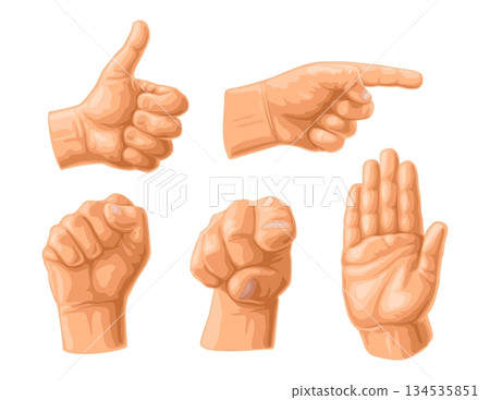 Male hand sign. Fist, Like, handshake, Ok, Pointing finger Male hand sign. Fist, Like, handshake, Ok, Pointing finger 134535851